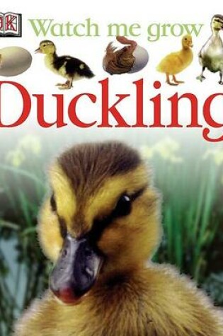 Cover of Duckling