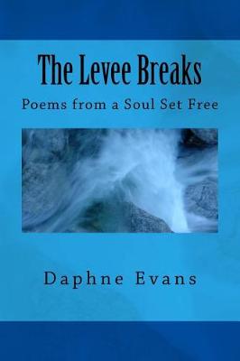 Book cover for The Levee Breaks