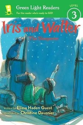 Book cover for Iris and Walter: The Sleepover