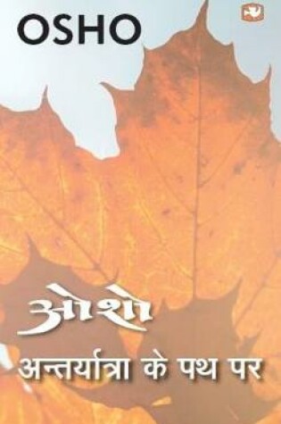 Cover of ANTARYATRA KE PATH PAR