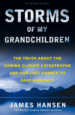 Book cover for Storms of My Grandchildren