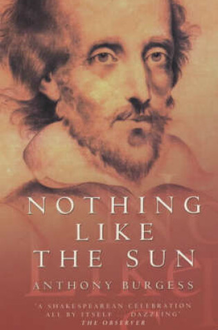Cover of Nothing Like the Sun