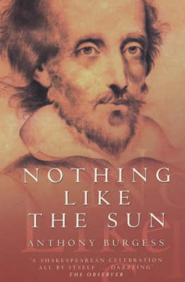 Book cover for Nothing Like the Sun