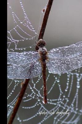 Book cover for spider web dragonfly