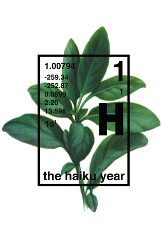 Cover of The Haiku Year