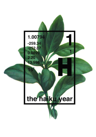 Book cover for The Haiku Year