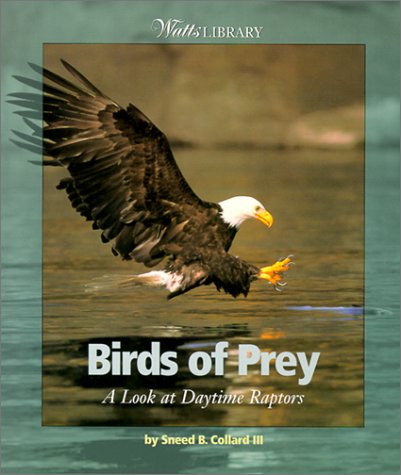 Book cover for Birds of Prey