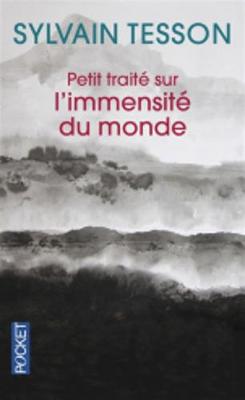 Book cover for Petit traite sur l'immensite du monde