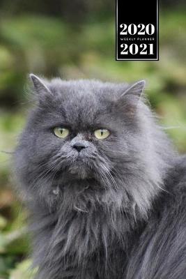 Book cover for Persian Cat Kitten Kitty Tomcat Week Planner Organizer 2020 / 2021 - In the Nature