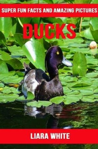 Cover of Ducks