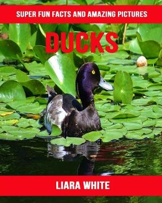 Book cover for Ducks