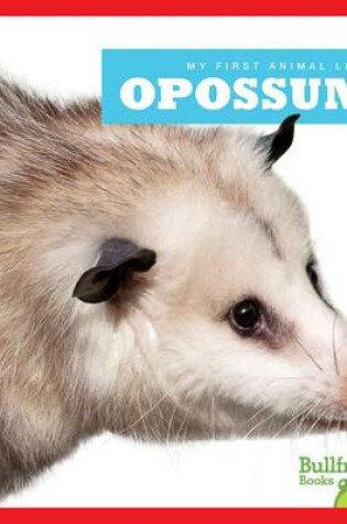 Cover of Opossums