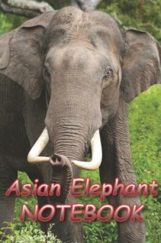 Cover of Asian Elephant NOTEBOOK