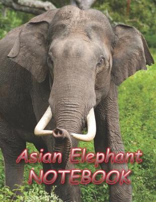 Book cover for Asian Elephant NOTEBOOK