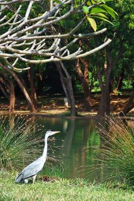 Book cover for Heron by the Water in Kenya, Africa Journal