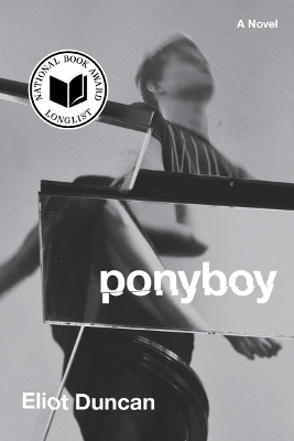 Book cover for Ponyboy