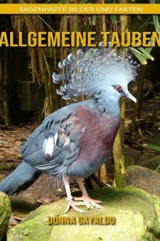 Cover of Allgemeine Tauben