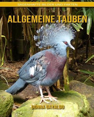 Book cover for Allgemeine Tauben