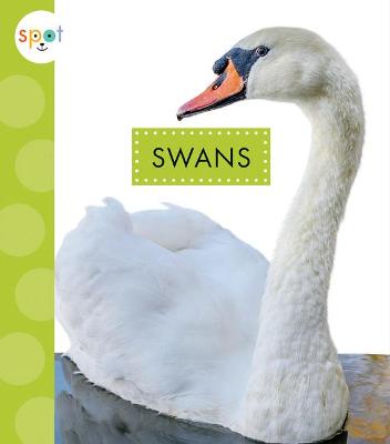 Book cover for Swans