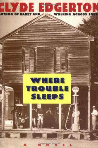 Cover of Where Trouble Sleeps