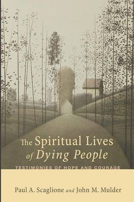 Book cover for The Spiritual Lives of Dying People