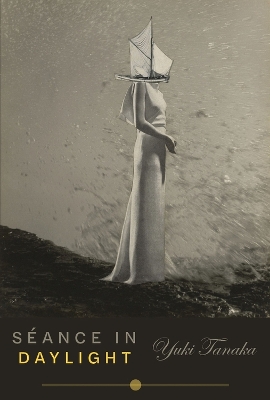 Book cover for Séance in Daylight