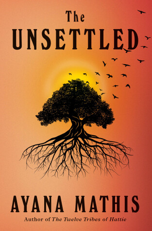 Book cover for The Unsettled