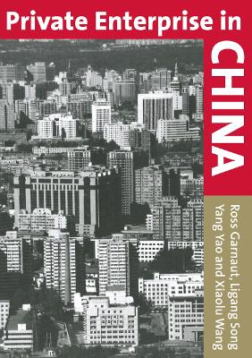 Book cover for Private Enterprise in China