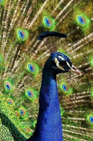 Cover of Peacock with a Full Display of Feathers Journal