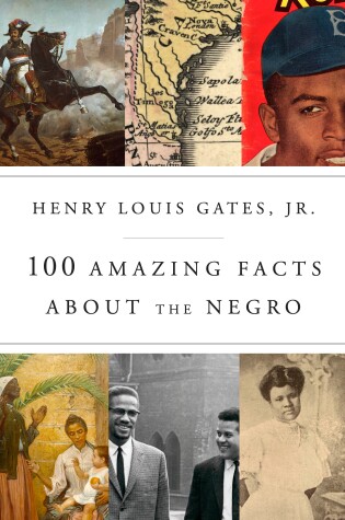 Cover of 100 Amazing Facts About the Negro