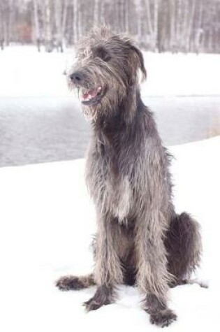 Cover of The Irish Wolfhound Dog Journal