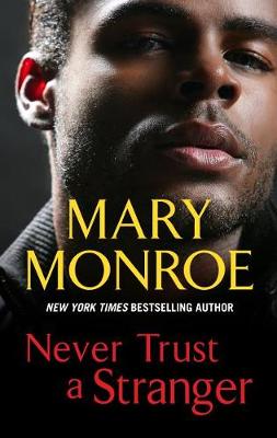 Book cover for Never Trust a Stranger