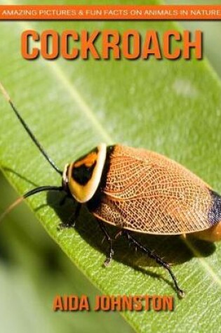 Cover of Cockroach