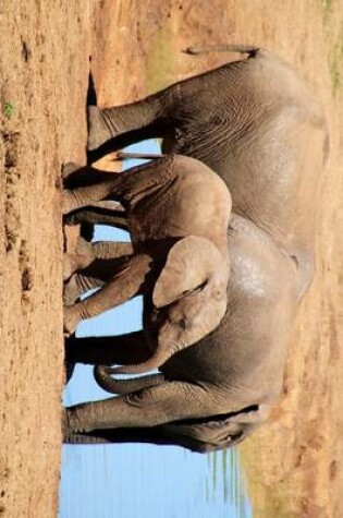 Cover of African Elephants at a Watering Hole in Kenya, for the Love of Animals