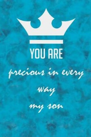Cover of you are precious in every way my son
