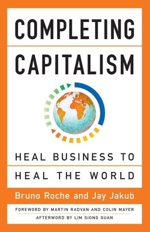 Book cover for Completing Capitalism