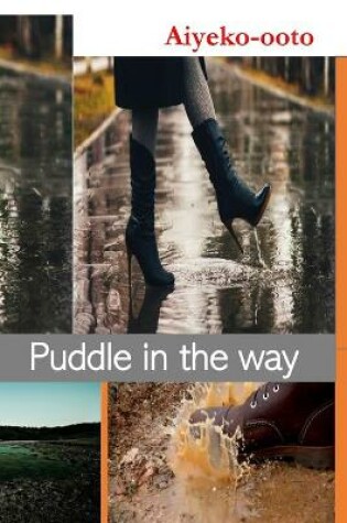 Cover of Puddle in The Way