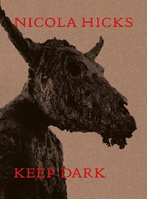 Book cover for Nicola Hicks: Keep Dark