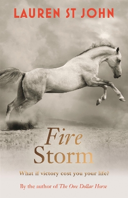 Book cover for Fire Storm