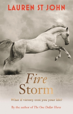 Cover of Fire Storm