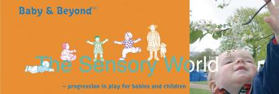 Book cover for Sensory World