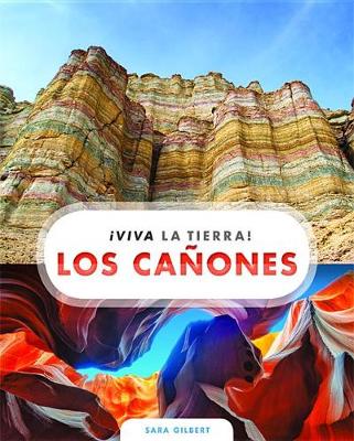 Book cover for Los Cañones