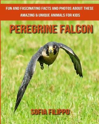 Book cover for Peregrine Falcon