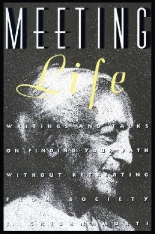 Cover of Meeting Life
