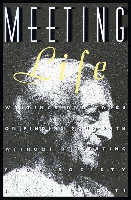 Book cover for Meeting Life