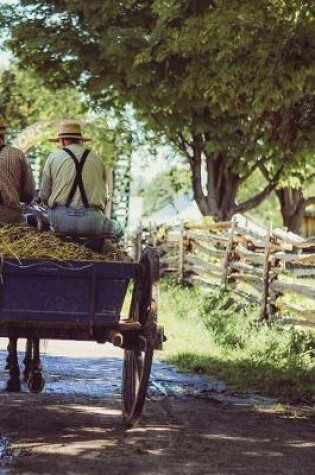 Cover of Amish Men on the Road in Ohio