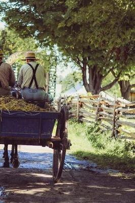 Book cover for Amish Men on the Road in Ohio