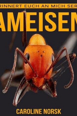 Cover of Ameisen