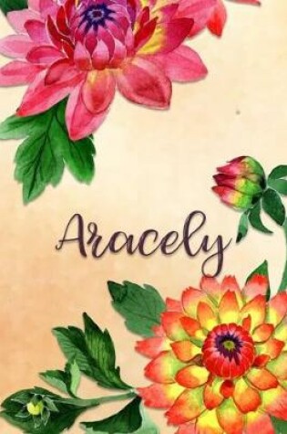 Cover of Aracely