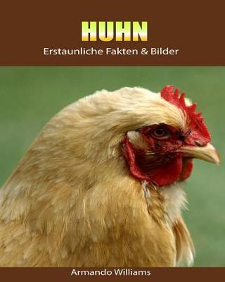 Book cover for Huhn